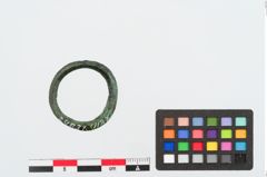 Foto von Bronzering (NHMW-PRAE-024831)